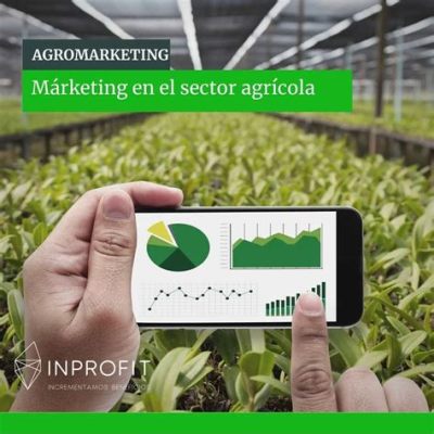 El Aumento de la Producción Agrícola en el Siglo VIII: Un Factor Clave en el Desarrollo Social y Económico del Reino Zulu